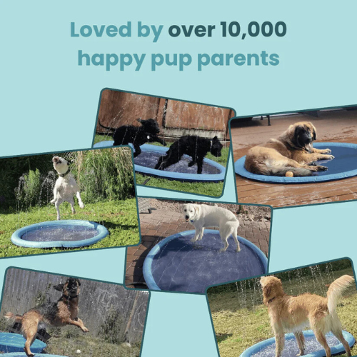 Gadgets™ Sprinkler Pad